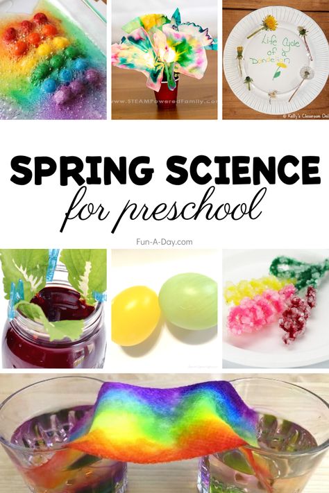 Keep the kids engaged and learning this spring with over 40 spring-themed preschool science activities. Spring Ece Activities, Spring Science Experiments Preschool, Spring Science For Toddlers, Welcome Spring Preschool Activities, Spring Themes For Preschool, Spring Lesson Plans For Toddlers, Signs Of Spring Preschool Activities, April Themes For Preschool, Spring Weather Activities Preschool