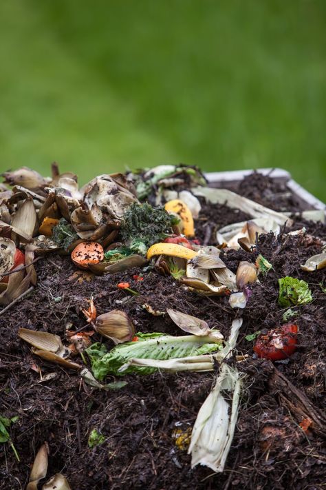 compost-close-up-0420 What To Compost, How To Make A Compost Pile, Open Compost Pile, Composting Food Scraps, Cow Manure Compost, Composting Methods, Compost Container, Composting 101, How To Compost