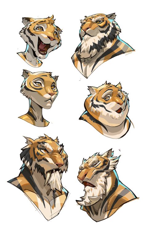 ArtStation - Sketchs Anthro Tiger, Tiger Character Design, Animal Character Design, Tiger Drawing, Cat Character, Creature Drawings, Animal Sketches, Illustration Character Design, Cartoon Animals