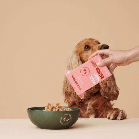 Dog Food Photoshoot, Dog Food Photography, Dog Food Branding, Dog Food Delivery, Pet Branding, Dog Brand, Food For Dogs, Grain Free Diet, Wow Photo