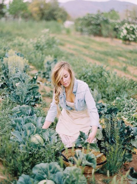 Lilac Farm Lifestyle shoot | Lifestyle | Gallery | Item 17 Lilac Hedge, Farm Minecraft, Garden Photoshoot, Lifestyle Shoot, Farm Lifestyle, White Lilac, Poppy Design, Seed Bank, California Lifestyle