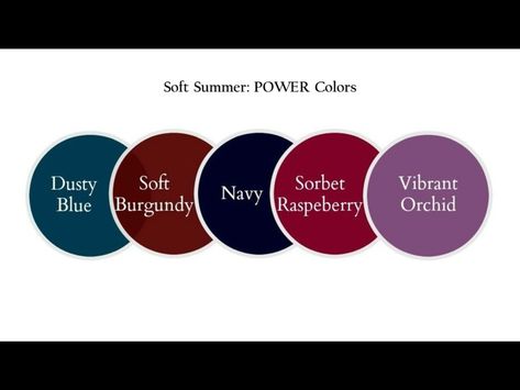 Dark Soft Summer Color Palette, Soft Summer Red, Color Theories, Color Wardrobe, Color Analysis Summer, Deep Summer, Deep Winter Palette, Soft Summer Palette, Soft Summer Color Palette