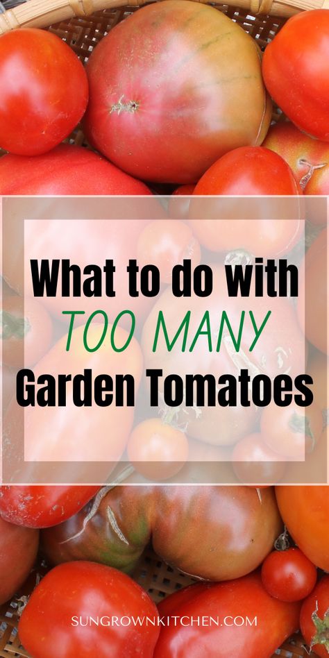 How To Prep Tomatoes For Sauce, Tomato Sauce Freezer Recipe, Freezing Homemade Tomato Sauce, Freezing Marinara Sauce, Freezer Pizza Sauce Fresh Tomatoes, Tomato Sauce Homemade Freezer, Frozen Tomatoes Sauce, Blanching Tomatoes For Sauce, Pizza Sauce Homemade Fresh Tomatoes To Freeze