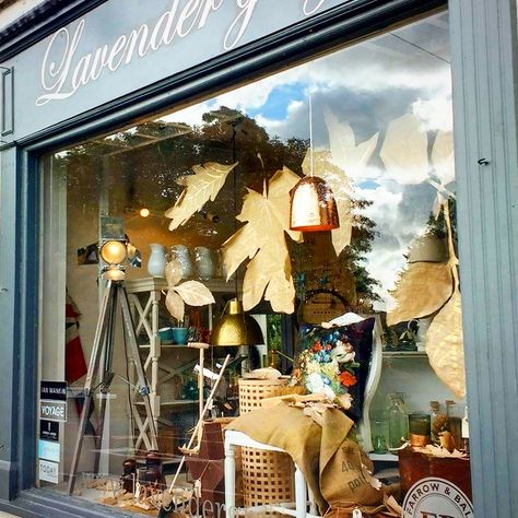 Autumn Window Display Home, Fall Store Front Displays, Retail Halloween Displays Store Windows, Thanksgiving Store Window Displays, Autumnal Window Displays, Fall Window Display Store Fronts Autumn, Fall Shop Window Display, Fall Retail Window Displays Autumn, Halloween Store Front Windows