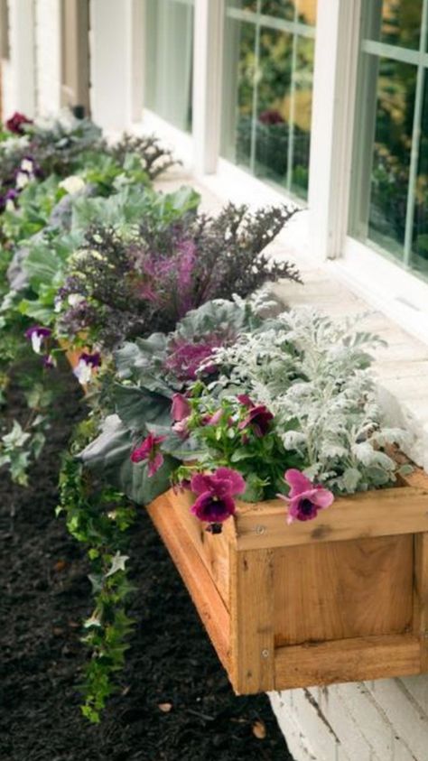 Wood Window Boxes, Wood Flower Box, Fall Window Boxes, Kitchen Window Sill, Fall Containers, Window Box Flowers, Window Planter Boxes, Window Boxes, Wooden Garden