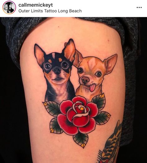 Neo Traditional Chihuahua Tattoo, American Traditional Chihuahua Tattoo, Traditional Chihuahua Tattoo, Traditional Pet Tattoo, Old School Dog Tattoo, American Traditional Dog Tattoo, Traditional Dog Tattoo, Chihuahua Tattoos, Traditional Portrait