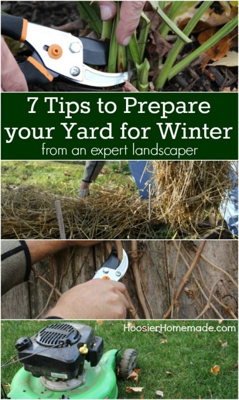 Have the BEST looking yard on the block! These 7 simple tips will help you get your yard ready for Winter! Pin to your Gardening Board! Terrace Plants, Herb Container, Plants House, Indoor Vegetables, Winter Vegetables Gardening, Indoor Balcony, Herb Garden Design, Indoor Vegetable Gardening, Backyard Diy