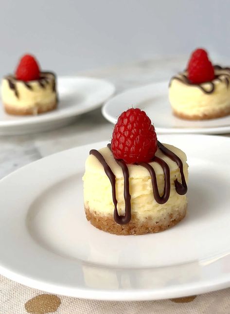 Mini New York Cheesecake Recipe (with Chocolate Ganache) Mini New York Cheesecake, Cheesecake Deserts, New York Cheesecake Recipe, Mini Cheesecake Pan, Mini Cheesecakes Easy, Mini Cheesecake Bites, Cheesecake Bites Recipe, Mini Cheesecake Recipes, Homemade Muffins