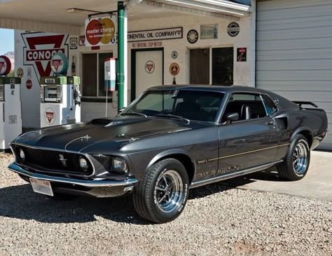 1969 Mustang Boss 429, 1970s Mustang, Ford Mustang Mach 1 1969, 1976 Ford Mustang, 1969 Mustang Fastback, 1969 Ford Mustang Fastback, Old Mustang, 1969 Ford Mustang Mach 1, Mustang 1969