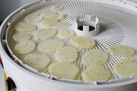 How to Make Crispy Potatoes in a Food Dehydrator Dehydrator Potato Chips, Dehydrator Recipes Fruit, Dehydrated Recipes, Dehydrating Food Storage, Dehydrate Potatoes, Food Dehydration, Potato Chip Recipes, Dehydrating Food, Raw Dessert Recipes