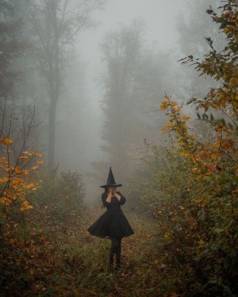 Witch Aesthetic Cottagecore, Cottagecore Halloween Aesthetic, Moody Halloween Aesthetic, Fall Photoshoot Inspiration, Woodland Witch Aesthetic, Witch Fall Aesthetic, Autumn Foto Ideas, Witch Halloween Aesthetic, Witch Asethic