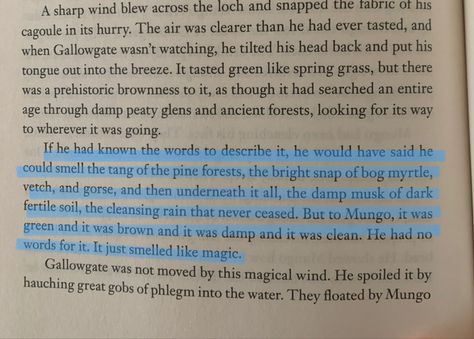 “The air was clearer than he had ever tastedhe tilted his head back and put his tongue out into the breeze. It tasted green like spring grass, but there was a prehistoric brownness to it, as though it had searched an entire age through damp peaty glens and ancient forests, looking for its way to wherever it was going. If he had known the words to describe it, he would have said he could smell the tang of the pine forests, the bright snap of bog myrtle, vetch, and gorse, and then underneath it al Types Of Smells Writing, The Smell After Rain, Stop And Smell The Flowers Quote, The Smell Of Old Books, The Forest Was Shrinking Quote, Ancient Forest, Pine Forest, Words To Describe, Forest