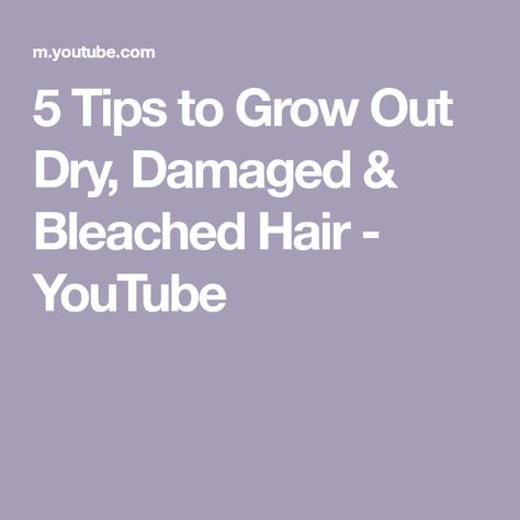 5 Tips to Grow Out Dry, Damaged & Bleached Hair - YouTube Damaged Bleached Hair, Bleach Damaged Hair, Going Blonde, Bleaching Your Hair, Silver Shampoo, Air Dry Hair, Flat Hair, Tone Hair, Deep Conditioner