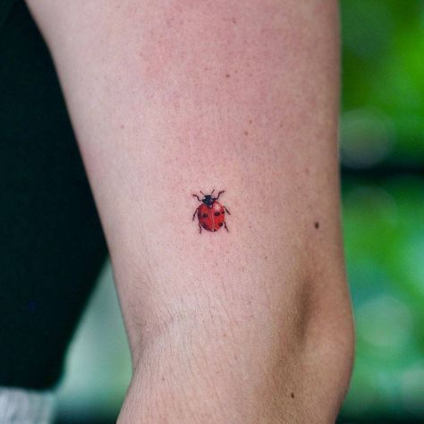 Yellow Ladybug Tattoo, Catarina Tattoo, Small Ladybug Tattoo, Ladybug Tattoo, Peacock Feather Tattoo, Lady Bug Tattoo, Hand And Finger Tattoos, Bug Tattoo, Anklet Tattoos