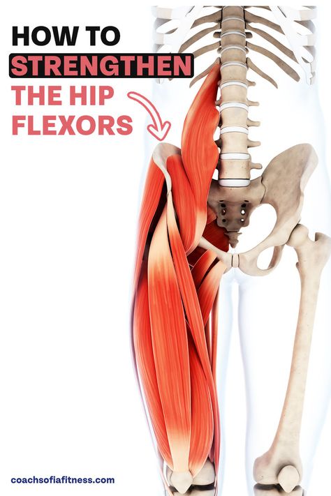 Strengthen the primary hip flexor muscles with these 4 fantastic exercises you've never tried before. These exercises are specific to the hip flexor muscles and will help you build more hip strength and engage your abdominals as well. If you like to walk, run or even swim, it's important to have strong hip flexor muscles and these exercises will help you achieve that. We'll strengthen the psoas, the TFL, the quads all at once. Piriformis Exercises, Strengthen Hip Flexors, Exercises For Strength, Strengthen Hips, Hip Flexor Pain, Hip Strength, Hip Mobility Exercises, Hip Strengthening Exercises, Hip Flexor Exercises