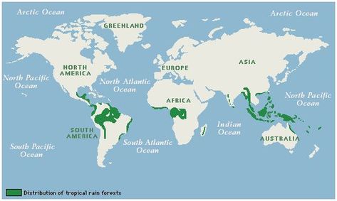 rainforest map Rainforest Map, Rainforest Biome, Rainforest Theme, Forest Resources, Forest Map, Classroom Science, Nature Education, The Amazon Rainforest, Temperate Rainforest