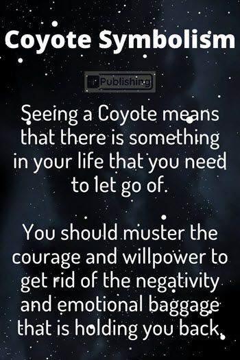 Coyote Meaning, Coyote Symbolism, Fox Symbolism, Coyote Animal, Animal Symbols, Clever Animals, Spirit Animal Meaning, Animal Meanings, Spiritual Animal