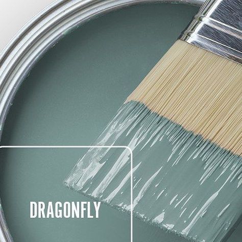 Dragonfly Paint Color, Light Blue Green Paint Colors, Light Turquoise Paint, Jade Paint, Behr Colors, Color Of The Month, Turquoise Painting, Paint Color Schemes, Favorite Paint Colors