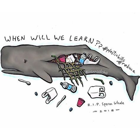 Plastic pollution in our oceans poses a real threat to whales and dolphins.       Gloucestershire Resource Centre http://www.grcltd.org/scrapstore/ Plastic Pollution Poster, Dolphin Species, Environmental Illustration, Pollution Activities, Clean India, Fish Eating, Static Image, Bali Instagram, Save Planet Earth