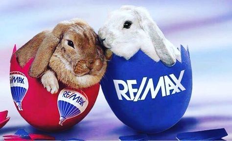 Happy Easter!! Remax Real Estate, Real Estate Agent Marketing, Orange Beach, Easter Holidays, Easter Sunday, Selling House, Real Estate Marketing, Happy Easter, First Love