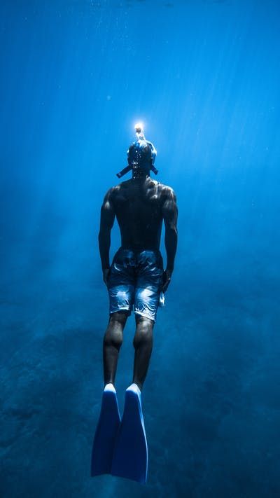 People diving in blue ocean · Free Stock Photo Diving Into Water, Sporty Summer, Clear Ocean, Dove Men, Free Diving, Swimming Swimsuit, Summer Swim, Underwater Photography, Underwater World