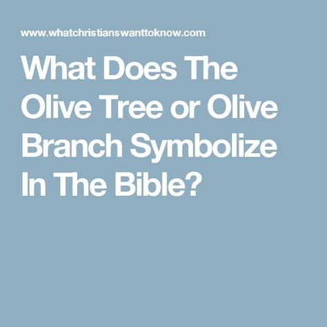 What Does The Olive Tree or Olive Branch Symbolize In The Bible? Olive Branch Meaning Bible, Olive Branch Symbolism, Olive Branch Tattoo Meaning, Olive Branch Meaning, Olive Branch Art, Olive Tree Tattoos, Tree Meanings, Olive Tattoo, Bible Meaning