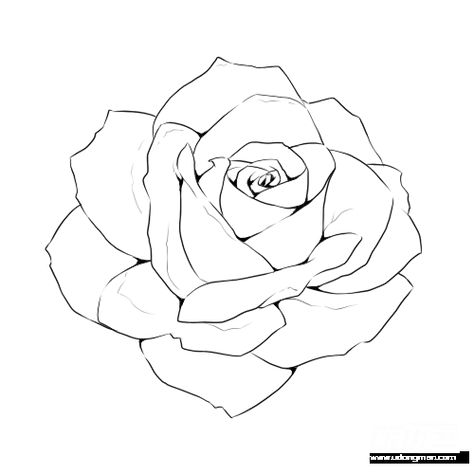 Rose Line Drawing, Ako Kresliť, Draw A Rose, Drawing Rose, Flower Line Drawings, Drawing Template, Flower Drawing Tutorials, Rose Drawing, Flower Sketches