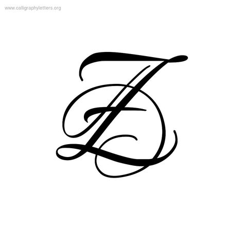 Letter Z Tattoo, Initials Logo Letters, Hand Typography, Tattoo Lettering Alphabet, Monogram Tattoo, Flourish Calligraphy, Z Tattoo, Lettering Download, Wedding Logo Design