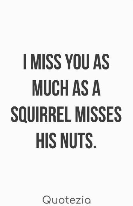 Funny Relationship Quotes For Him, Quotes Distance Friendship, Funny Quotes For Him, Funny Quotes Humor, Quotes Distance, Marriage Quotes Funny, Relationship Quotes For Him, Funny Relationship Quotes, Funny Jokes To Tell