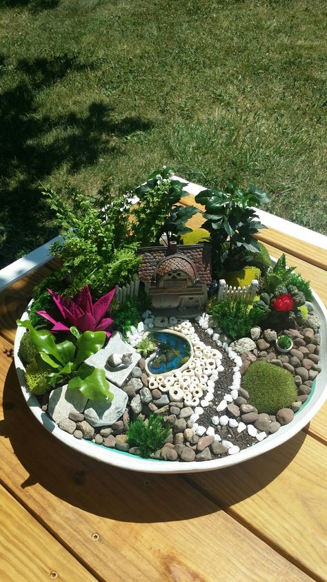 Plants Terrarium, Fairy Garden Pots, Indoor Fairy Gardens, Succulent Planter Diy, Fairy Garden Ideas, Fairy Garden Plants, Fairy Garden Furniture, Terrarium Ideas, Succulent Garden Design