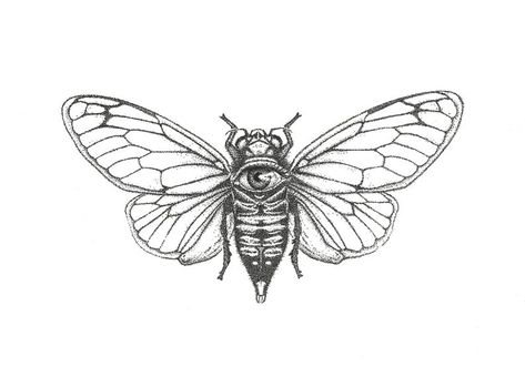 Bug Illustration, Cicada Art, Cicada Tattoo, Trippy Wall, Print Drawing, Insect Tattoo, Bug Tattoo, Moth Tattoo, Sunflower Tattoos