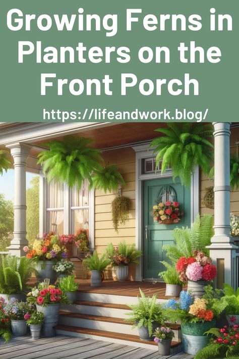 Growing Ferns in Planters on the Front Porch Ferns In Planters, Plants Shelf, Ferns Care, Maidenhair Fern, Porch Planters, Boston Fern, Overwintering, Indirect Lighting, Home Vegetable Garden