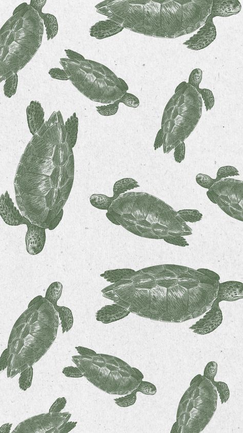 Beach Background Aesthetic Landscape, Aesthetic Wallpaper Turtle, Safari Wallpaper Iphone, Sea Turtle Wallpaper Iphone, Iphone Background Green, Turtle Wallpaper Iphone, Sea Turtles Wallpaper, Wallpaper Turtle, Turtle Aesthetic