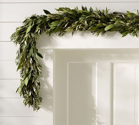 10 Easy Pieces: Garlands and Boughs to Deck Halls - Gardenista Fresh Garlands, Fresh Olives, Olive Wreath, Christmas Wreaths & Garlands, Garland Diy, Pine Garland, Eucalyptus Garland, Pine Wreath, Holiday Garlands