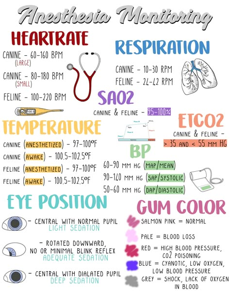 I made this anesthesia monitoring guide for my clinic to hang & train newer technicians Anesthesia Monitoring, Veterinary Anesthesia, Vet School Motivation, Veterinarian Technician, Vet Tech School, Veterinary Tech, Vet Tech Student, Vet Technician, Veterinary School