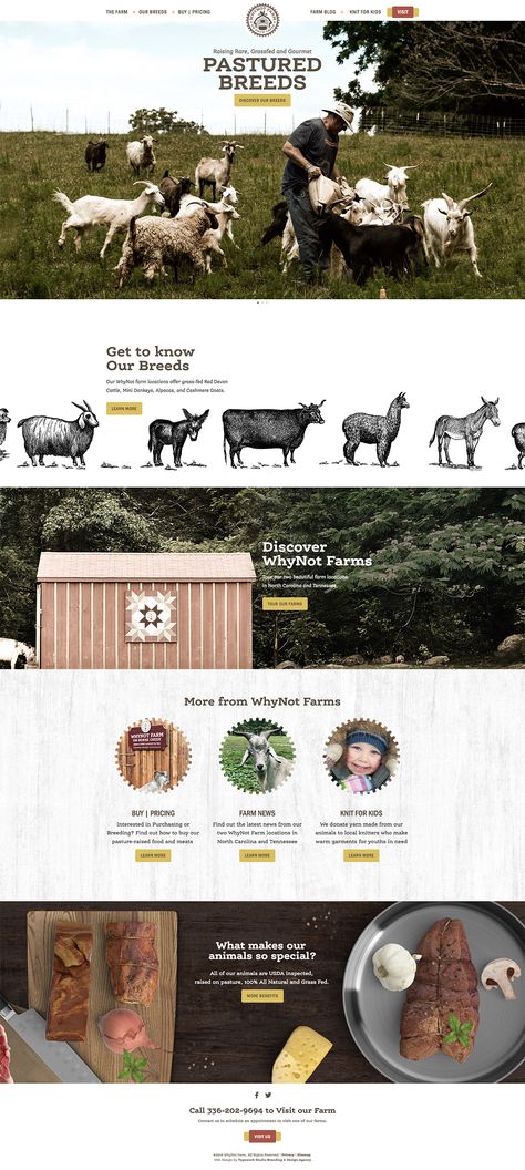 Farm Recipes, Farm Web Design, Rustic Design Graphic, Farm Flyer Design, Farm Branding Design, Rustic Website Design, Farm Brochure Design, Farm Website Design, Farm Branding Design Ideas