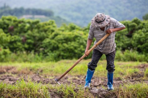 A male farmer who is using a shovel to dig the soil in his rice fields. | Premium Photo #Freepik #photo #nature #mountain #beauty #farm Watering Trees, Boyfriend Pranks Pictures, Farm Tools, States Of India, Rainy Season, Body Poses, Photo Editing Software, Shovel, Free Photo