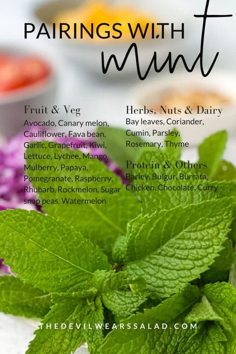 What goes well with mint? If you're looking for some inspiration for ingredient pairings for your next salad recipe, check out our flavour profiles! #thedevilwearssalad #foodpairings #saladwithmint #mint #saladrecipes Mint In Water, Flavour Pairing, Flavour Profiles, Creative Dishes, Zesty Salad, Artichoke Salad, Recipe Bread, Food Pairing, Water Images