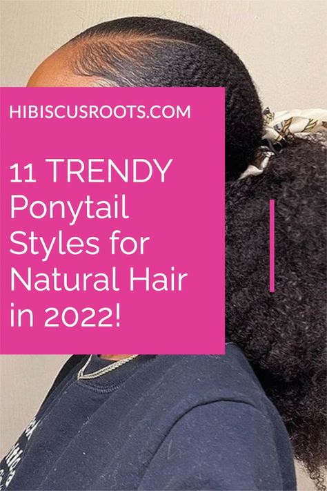 Check out 11 of the trendiest, easiest natural hair ponytail styles for 2022! Never lack hairstyle inspiration again and bookmark this post! Ponytail Styles With Braiding Hair, Ponytail Hairstyles On Natural Hair, Easy Natural Ponytail Hairstyles, Ponytail On Natural Black Hair, Natural Looking Ponytails For Black Women, Black Ponytail Hairstyles Natural, Quick And Easy Ponytail Hairstyles, Smooth Ponytail For Black Women, Ebony Ponytail Hairstyles