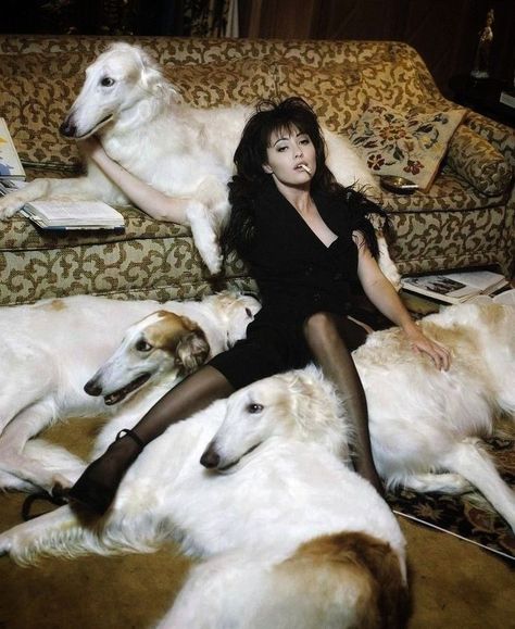 Borzoi Dog, Piskel Art, Shannen Doherty, 캐릭터 드로잉, Arte Inspo, Shooting Photo, 영감을 주는 캐릭터, Pose Reference Photo, Whippet