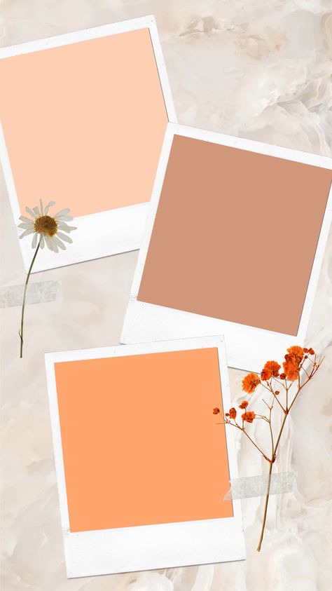 Aesthetic Collage Instagram Story, Insta Story Background Aesthetic, Flower Ig Story, Templates Instagram Stories Aesthetic, Aesthetic Insta Story Template, Background Story Instagram, Ig Story Background, Story Template Instagram, Story Background