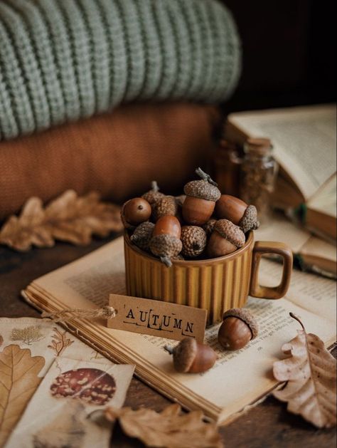 Autumn Flatlay, Autumn Cottagecore, Fall Produce, Fall Feels, Autumn Cozy, Autumn Aesthetic, Fall Wallpaper, Autumn Photography, Fall Harvest