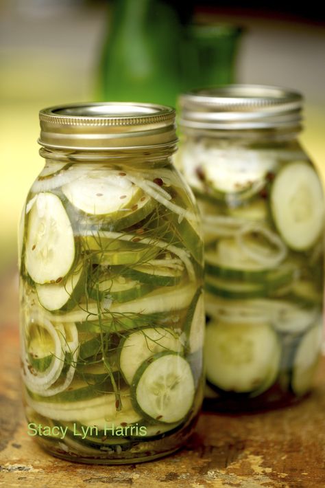 You can use either pickling or slicing cucumbers for this recipe! This is my easy go-to fast pickle recipe. It makes hamburgers very special. Quick Pickle Recipe, Refrigerator Pickles Dill, Refrigerator Pickle Recipes, How To Make Pickles, Pickled Cucumbers, Canning Pickles, Refrigerator Pickles, Cucumbers And Onions, Homemade Pickles