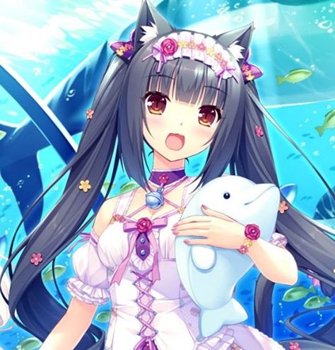 girl + girl Matching Anime Girlies Pfp, Nekopara Matching Pfp, Nekopara Matching Icons, Nekopara Banner, Summer Matching Pfp, Nekopara Icons, Summer Icon, Best Icons, Matching Pfps