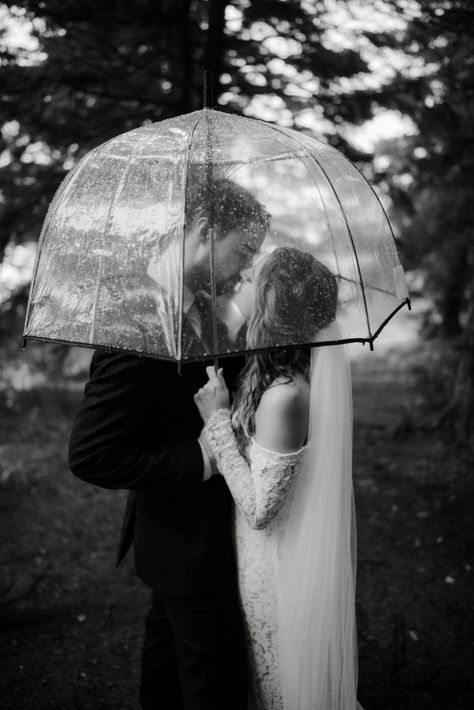 North Carolina Blue Ridge Parkway Rainy Day Elopement — Shenandoah National Park Adventure Wedding and Elopement Photographer Gahanna Ohio, Umbrella Wedding Photos, Bridal Umbrella, Deer Photography, Rain Wedding, Umbrella Wedding, Rainy Wedding, Greenhouse Wedding, House Photography