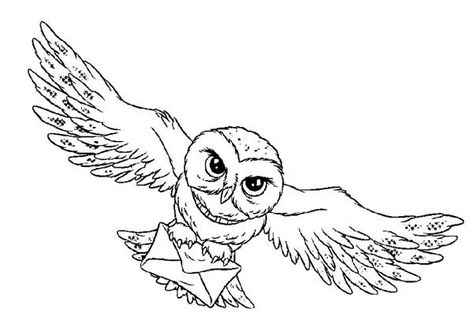 realistic owl coloring pages - Cool Owl Coloring Pages Ideas Harry Potter Kawaii, Harry Potter Weihnachten, Harry Potter Dragon, Dobby Harry, Harry Potter Coloring Pages, Harry Potter Goblet, Harry Potter Printables Free, Harry Potter Colors, Imprimibles Harry Potter