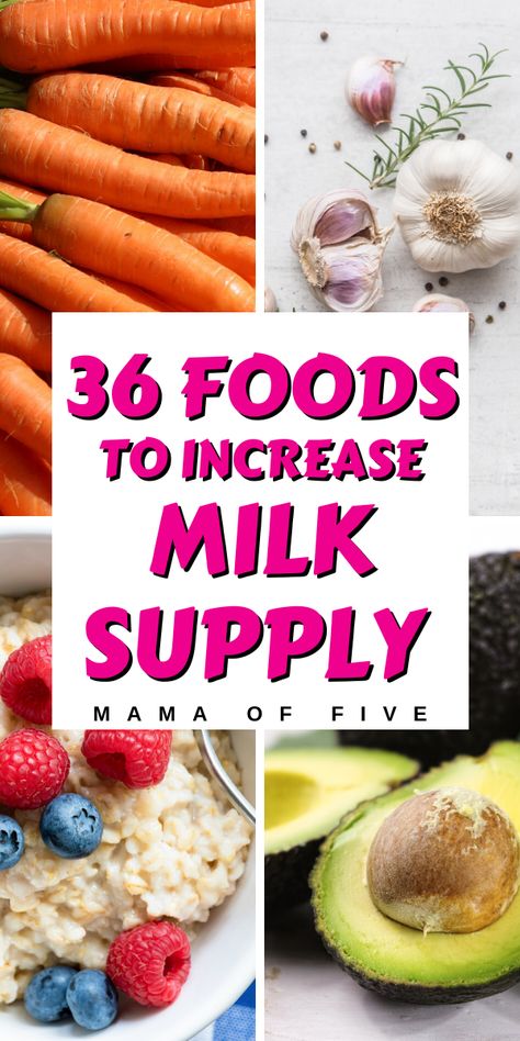 Best Foods To Help Milk Supply, Help With Breastmilk Supply, Breastmilk Increase Food, Help Increase Milk Supply, Milk Supply Boosting Foods, Good To Increase Milk Supply, Breastmilk Supply Increase Recipes, Foods That Help Milk Production, What To Eat To Boost Milk Supply