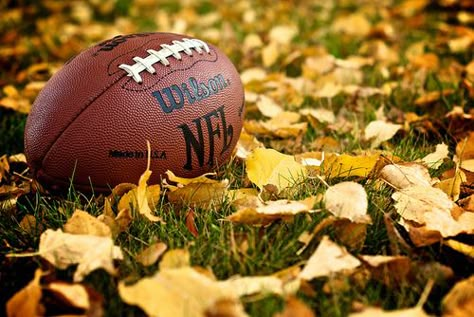 The Ladies' Guide To Watching Football This Fall Dont Forget To Smile, Fall Football, Watch Football, Football Party, Best Seasons, Happy Fall Y'all, A Football, Reasons To Smile, Fall Favorites