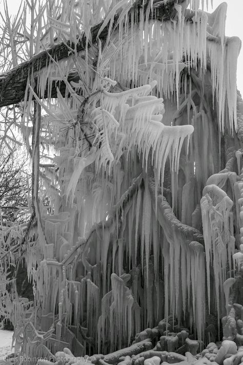 Tree branch covered in icicles . Webster New York [5616x3744] [OC] | Posted by Christhephotographer #Landscape #Photography #Natural #Beauty Christmas Tree Photography, Visuell Identitet, Black And White Tree, Tree Photography, Winter Magic, Winter Scenery, Winter Beauty, Snow And Ice, Fantasy Aesthetic