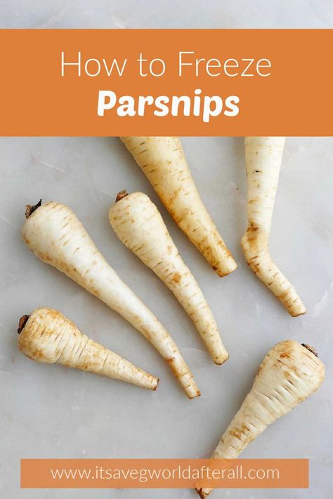 Have a lot of parsnips on hand? Learn how to freeze them with the helpful tips in this post! You'll also learn how to use frozen parsnips in recipes. Roasted Whole Sweet Potatoes, Freezing Mashed Potatoes, Potato Calories, Parsnip Recipes, Raw Sweet Potato, Boiling Sweet Potatoes, Eat More Veggies, Freezing Vegetables, Freeze Sweet Potatoes